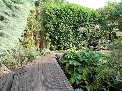 Picture 25